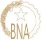 National Bank of Angola Logo